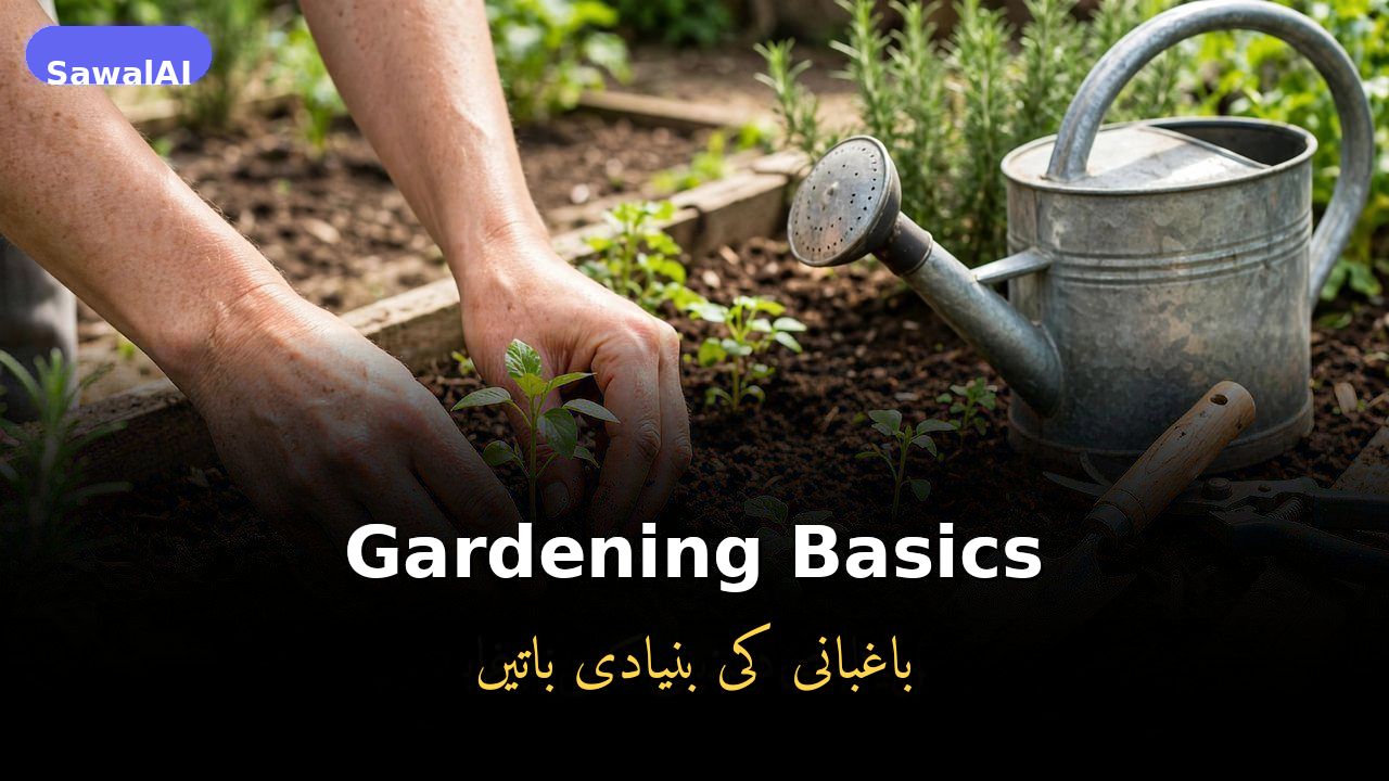 Noções básicas de jardinagem: como começar uma horta em casa